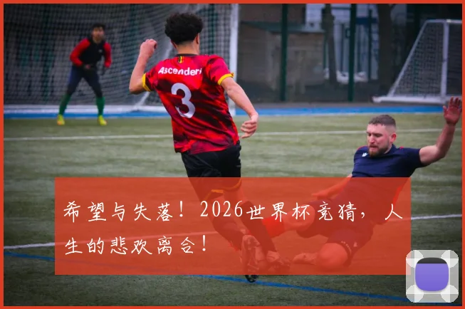 希望与失落！2026世界杯竞猜，人生的悲欢离合！