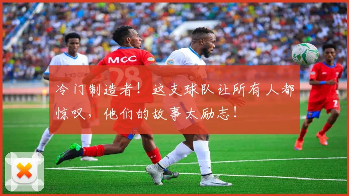冷门制造者！这支球队让所有人都惊叹，他们的故事太励志！